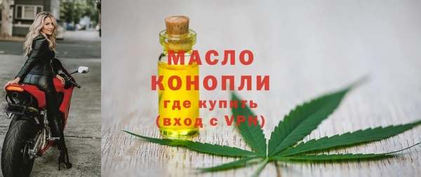 индика Покров