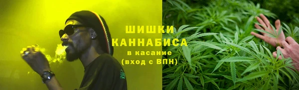 индика Покров