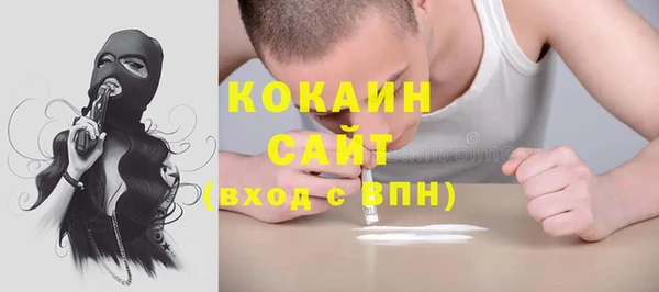 индика Покров