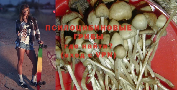 индика Покров