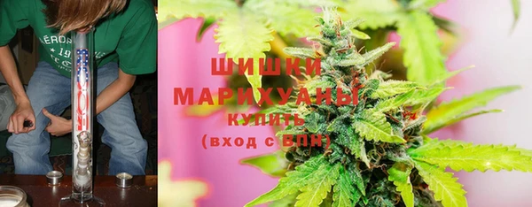 индика Покров