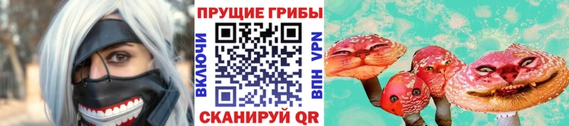 Псилоцибиновые грибы Cubensis  Купить  Перевоз 